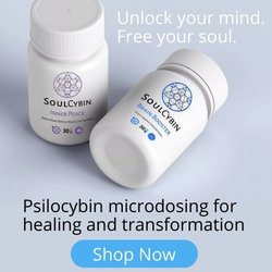 SoulCybin